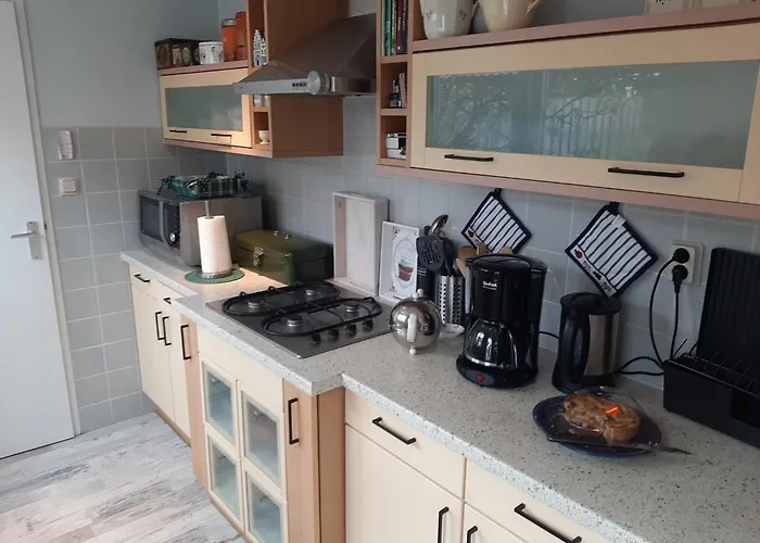 Comfortable Vacation Near The Sea Dom wakacyjny Noordwijkerhout